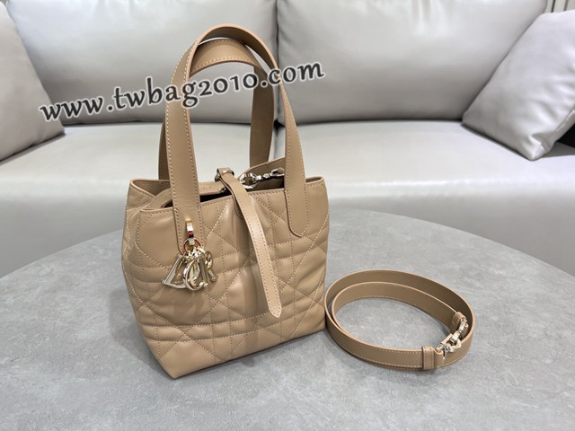 Dior专柜2025新款迪奥高仿原单Toujours竖版手袋牛皮休闲手提女包 djfk1300